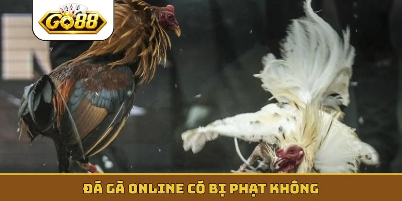 đá gà online có bị phạt không